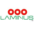 Laminus